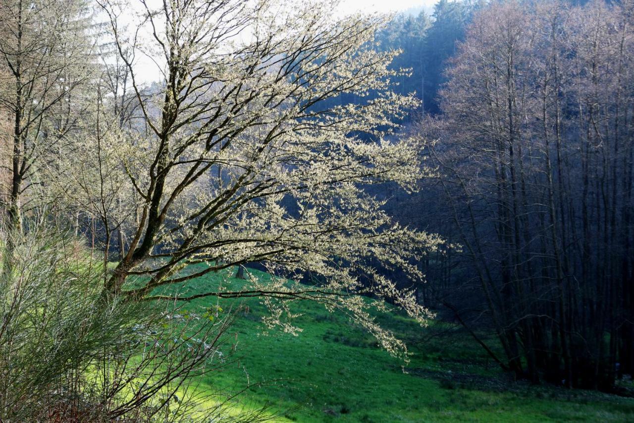 UrlaubsRaum Apartment Heiligkreuzsteinach Luaran gambar